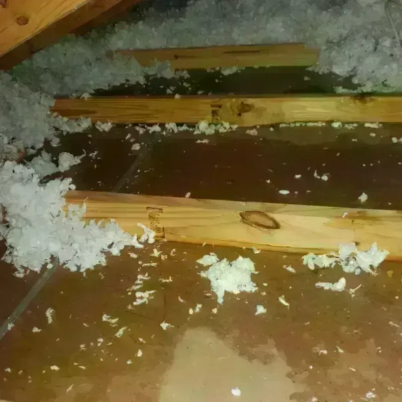 Attic Water Damage in Placentia, CA